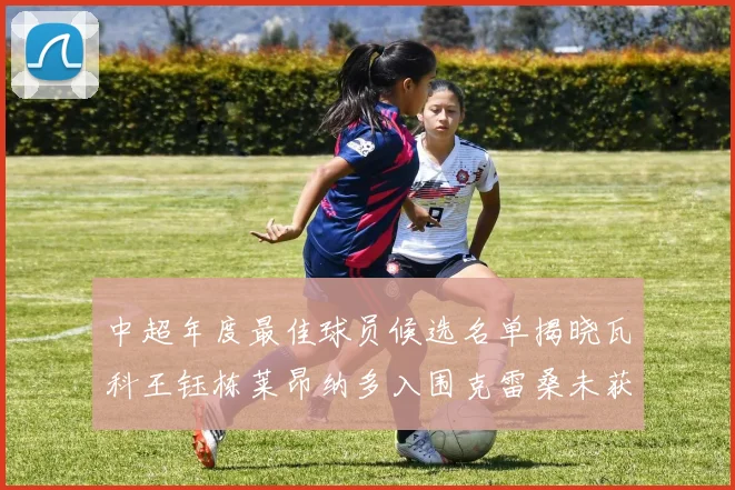 中超年度最佳球员候选名单揭晓瓦科王钰栋莱昂纳多入围克雷桑未获提名