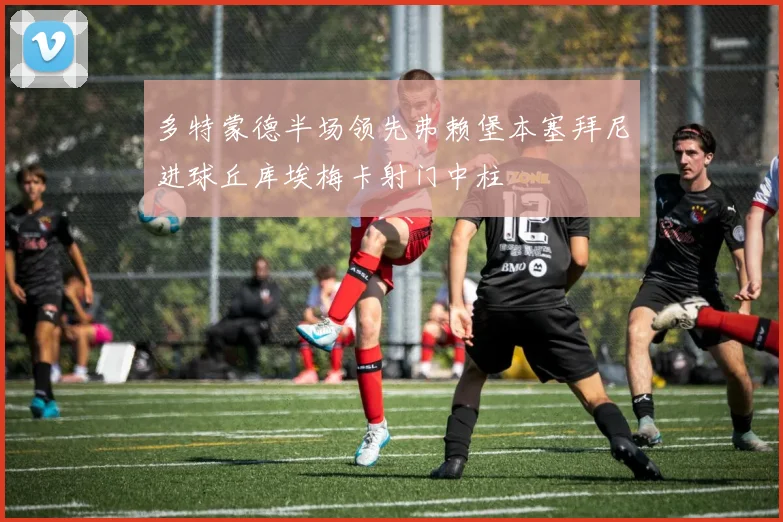 多特蒙德半场领先弗赖堡本塞拜尼进球丘库埃梅卡射门中柱