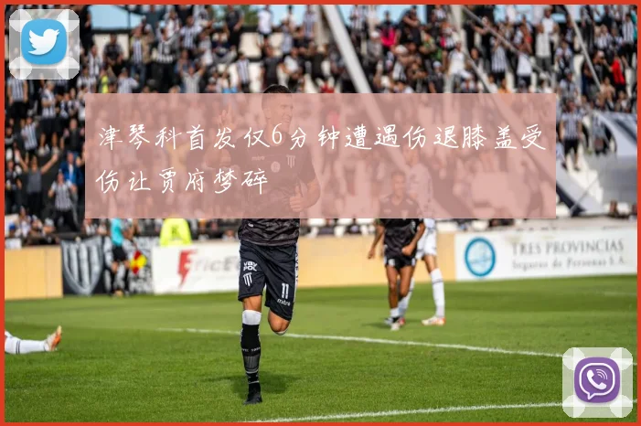 津琴科首发仅6分钟遭遇伤退膝盖受伤让贾府梦碎