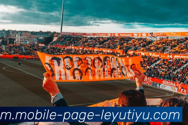 多媒体互动体验