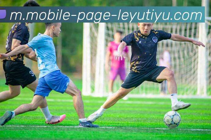 乐鱼体育APP 高清赛事图