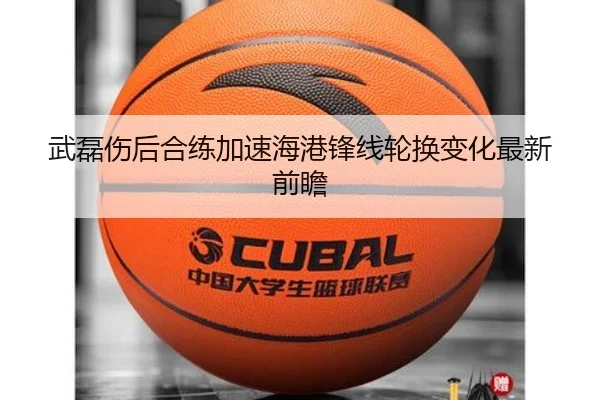 武磊伤后合练加速海港锋线轮换变化最新前瞻 | Leyu